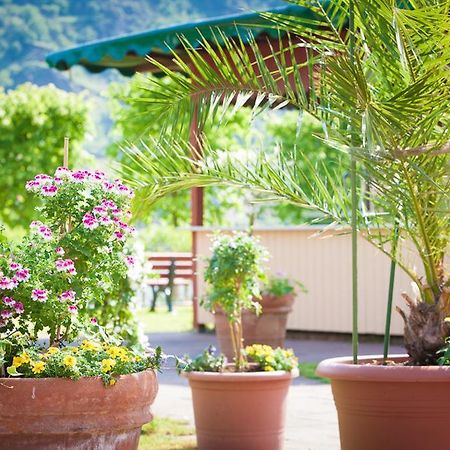 Landgasthof Rebstock Sankt Goar Bagian luar foto